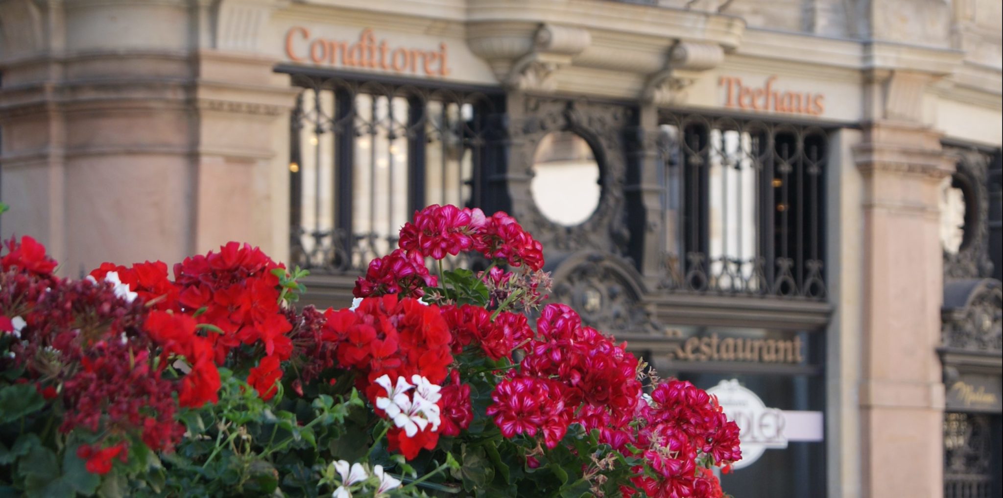 В лучах утреннего солнца