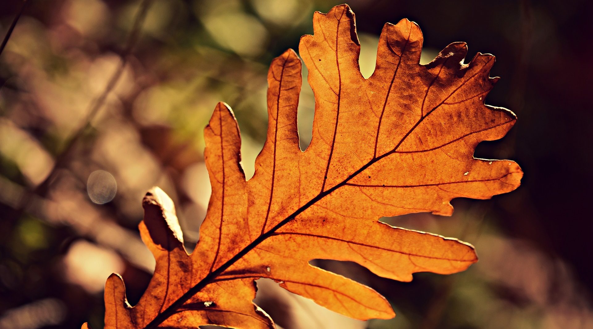 Осенний Лейпциг